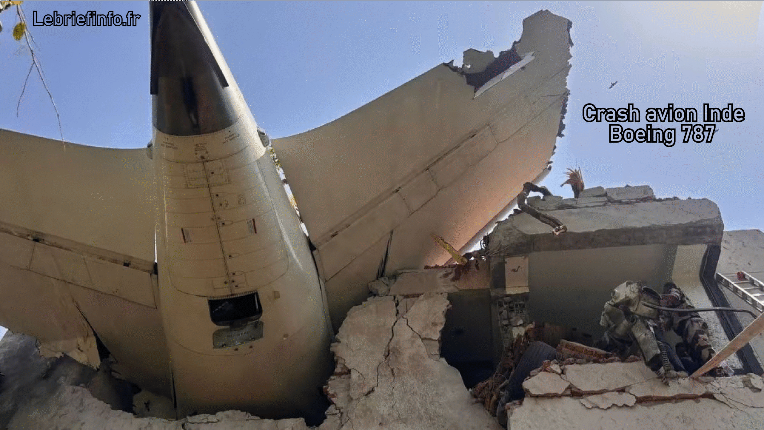 crash avion inde boeing 787